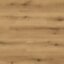 K5573 AV Oak Evoke Coast
