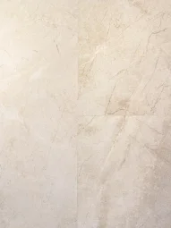 TiXL 505