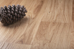 OAK PURE XL