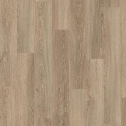Дуб Амьен светлый