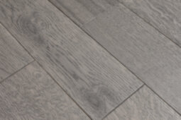 ДУБ БАРСЕЛОНА
