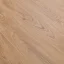 Dream Wood 224