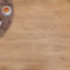Dream Wood 224