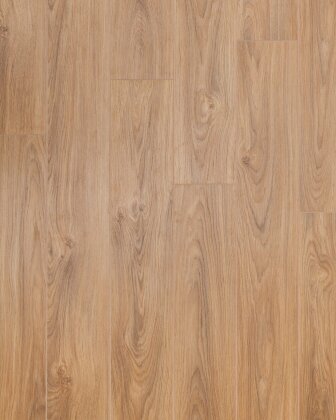 Dream Wood 224