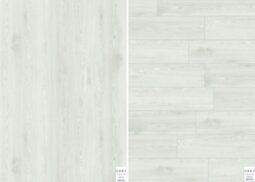 6009-20_Light