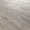 Bologna Oak