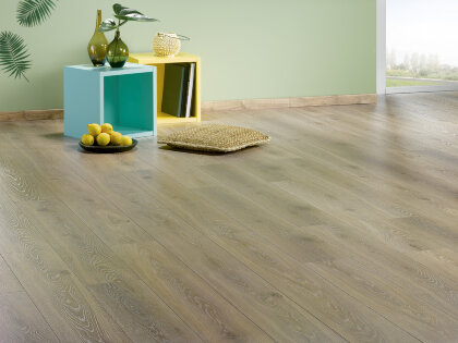 TAZA OAK