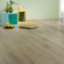TAZA OAK