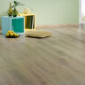 TAZA OAK
