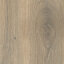 TAZA OAK