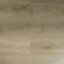 TAZA OAK
