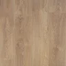 Block 8.32 Wood 347