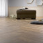 BALEARTIC OAK