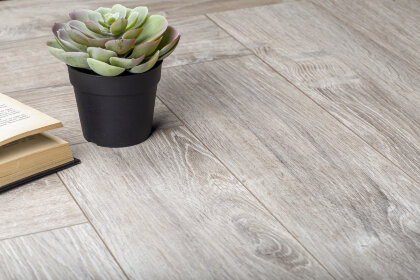 SARDINIA OAK