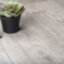 SARDINIA OAK